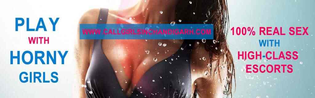 Collage Call Girls Services chandigarh